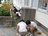 P8080003_2